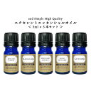 &SH エクセレント エッセンシャルオイル セット ( 3ml× 5本 ) [ お試し アロマ 精油 植物100% 天然 ピュア アロマオイル ギフト プレゼント アロマストーン ディフューザー セット で おすすめ ルームフレグランス いい香り アンドエスエイチ ]