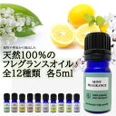 &SH アロマ ブレンド ( ブレンド オイル ) 100%自然由来 フレグランスオイル 5ml アロマオイル [ 香水 カモミール ラベンダー オレンジ シナモンミント サンダルウッド エッセンシャルオイル精油 と共に人気 ] +lt3+ tg_smc