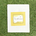 &SH アンドエスエイチ 精製ハイグレード ビーズワックス 蜜蝋 100g [ ミツロウ 蜜蝋ワックス みつろうワックス ミツロウワックス キャ..