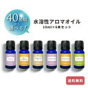【選べる40種類 10ml 6本セット】水溶性 アロマ エッセンシャル オイル &sh アンドエスエイチ [ 加湿器 風呂 水で溶ける アロマオイル エッセンシ...
