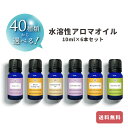 【選べる40種類 10ml 6本セット】水溶性 アロマ エッセンシャル オイル sh アンドエスエイチ 加湿器 風呂 水で溶ける アロマオイル エッセンシャルオイル セット 原料 香油 オレンジ ローズ サウナ ロウリュ ロウリュー テント 【 定形外 送料無料 】tg_smc lt3