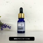 ＆SH 植物性プロパンジオール 10ml [ プロパンジオール 手作りコスメ 手作りリップ 手作り石けん 手作りクリーム ハンドメイド 手作り コスメ原料 原料 乾燥肌 植物性 保湿 乾燥肌 化粧水 ローション セラム 美容液 1 3 抗菌剤 保湿剤 ]+lt3+【 定形外 送料無料 】