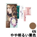 【あす楽】 資生堂 ベネフィーク ヘアカラー 4N やや明るい栗色 SHISEIDO BENEFIQUE 医薬部外品 ヘアカラー カラー剤 トリートメント付 グレイカラー グレーカラー 白髪染め 発色 色持ち つややか なめらか 【 宅配便 発送商品 】