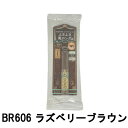 定形外発送 送料296円〜 資生堂 マジョリカマジョルカ ラッシュエキスパンダー ロングロングロング EX BR606 ラズベリーブラウン [ shiseido MAJOLICA MAJORCA マジョマジョ マジョ マスカラ ふさふさ美ロングマスカラ ロングマスカラ アイメイク ]