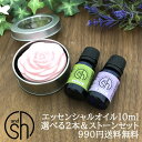 &SH アロマ スターター セット 2 エッセンシャルオイル 10ml 2本 アロマ ストーン セット アンドエスエイチ [ 夜 おしゃれ 無添加 天然 香り ...
