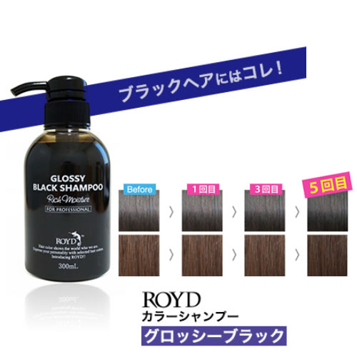 楽天プライムコレクション【あす楽】【メーカー公認正規品】 カラーシャンプー 【 グロッシーブラック 】 300ml ブライセス ロイド [ 黒 ブラック シャンプー 黒髪 暗髪 を維持したい方におすすめ ヘアカラー コスプレ ]【 宅配便 発送商品 】