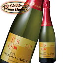 ザ・スパニッシュ・クォーター カヴァ ブリュット 750ml