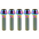 Ruifu M8x15 20 25 30 35 40 45 50 mm P1.25 チタン合金コニカルヘッド六角穴付ボルト 5個入 (M8x30mm, でレインボー)