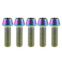 Ruifu M8x15 20 25 30 35 40 45 50 mm P1.25 チタン合金コニカルヘッド六角穴付ボルト 5個入 (M8x25mm, でレインボー)
