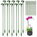 DY.2ten 園芸支柱 花支え 37cm 10本セット 植物支柱 フラワースタンド つる性植物 観葉支柱 花ささえ 誘引 支柱 植物サポート フラワー支柱 ガ...