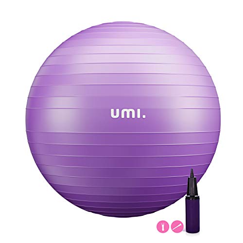 Umi.(ウミ) バランス ボール 65cm ばらんすぼーる アンチバースト 厚い 滑り止め 耐荷重300kg ハンドポンプ付 (パープル)