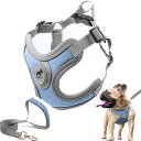 SAEGYPET 犬用ハーネス リードセット付き 引っ張り不要 犬の首 輪ハーネス パッド入りベストハーネス付き 小・中・大型犬のトレーニングとランニング用 (...