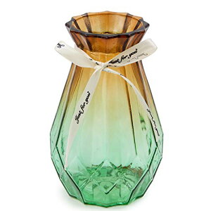【送料無料】OFFIDIX 花瓶 ガラス製 フラワーベース おしゃれ 花器 水耕栽培 インテリア飾り ブラウンとグリーン