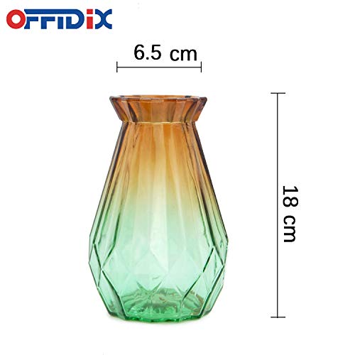 【送料無料】OFFIDIX 花瓶 ガラス製 フラワーベース おしゃれ 花器 水耕栽培 インテリア飾り ブラウンとグリーン