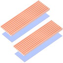 Raonlla 銅製 M.2 SSD ヒートシンク 高放熱性能 2280 M2 SSD ヒートシンク サーマルパッド付き (2枚入り)(2)