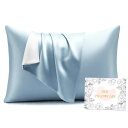 HOdo Home シルク枕カバー 22匁 まくらかばー 片面シルク枕カバー 50×70cm 封筒式枕カバー シルクピローケース 洗える寝癖軽減 抗菌防臭 美髪・美肌 敏感肌に優しい 四季適応 クリスマス 新年ギフト 贈り物 1枚セット グレイッシュブルー