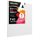 AUREUO 張りキャンバス セット F40 (116.7cmX91cm) 中目 全麻 1枚 リネン 専門の絵画用具 芸術絵創作 現代油絵 美術装飾 水彩画・油...