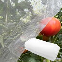 Phyxiul 防虫ネット 防鳥ネット 園芸用ネット 鳥害対策 防鳥防獣網 鳥除け 野菜栽培 家庭菜園 畑 野菜 虫鳥除け網 通気性 虫除けネット 透明色 (2.5m×3m)
