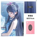 ウィッグ レディース ファッション コーデ アイテム ブルー い ウィッグ レディース ロング ヘア デイリー エア バング ストレート ヘアウィッグ セット ユニバーサル コス シミュレーション フル ヘッド