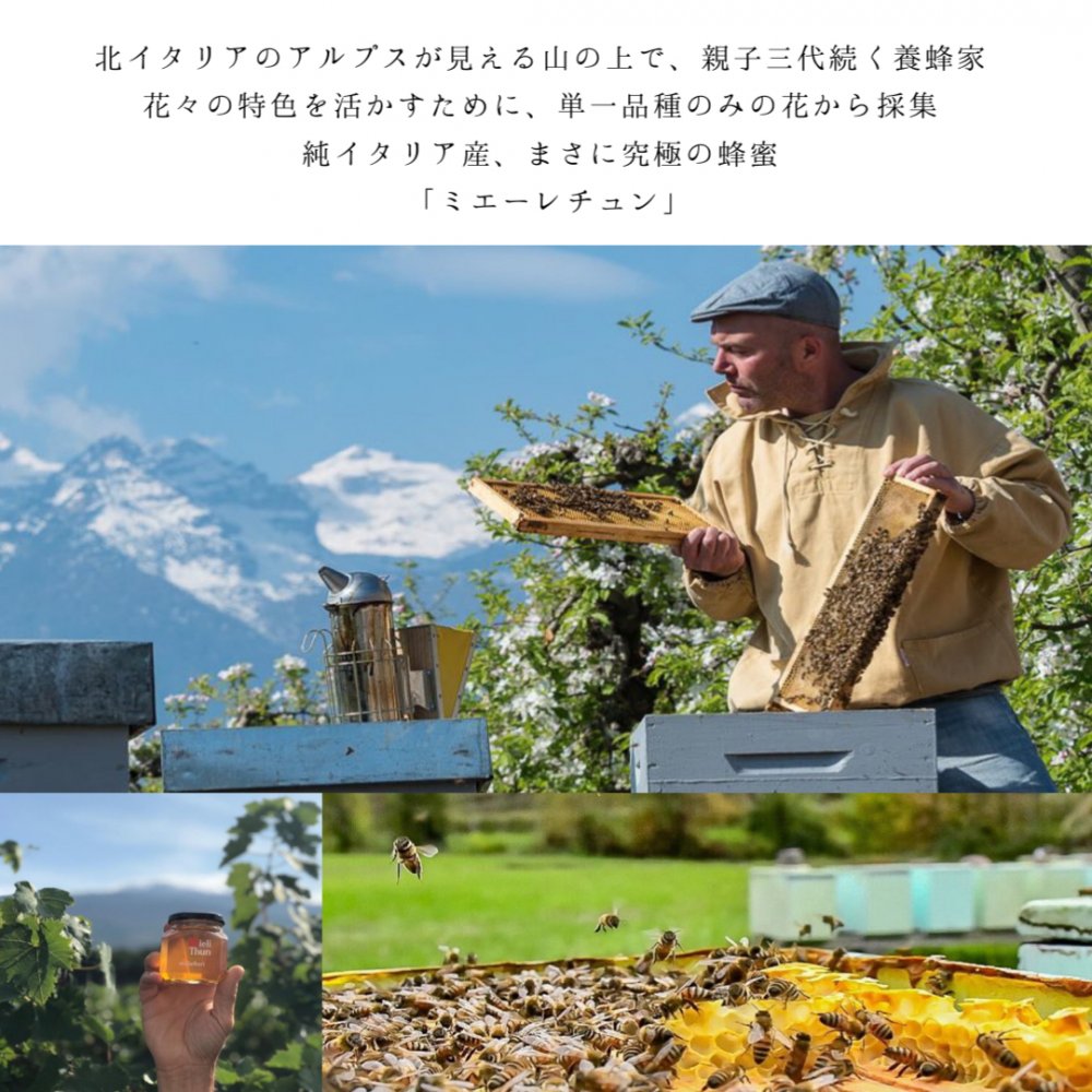 ハチミツ オレンジの蜂蜜 ミエーレ トゥーン イタリア産 400g ミエーレチュン Mielli Thun