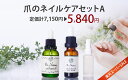 \楽天SALE★定価計19%OFF/爪のネイルケアセットA ネイルオイル ネイルケアセラム 小分容器 本気で爪を変えたい方へ ネイルケア専門店 プリナチュール開発 スポイドタイプ 爪ケアセット 爪の清潔液 二枚爪 ささくれ 爪の乾燥 爪トラブル ネイルケアサロン 医薬部外品