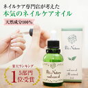 【最大15%OFFクーポン】アンドネイル ネイルベッドオイル 10ml | ネイル ネイル用品 ネイルケア 爪 ケア オイル ネイルベッド ネイルオイル オーガニック オーガニックオイル ネイルケアグッズ