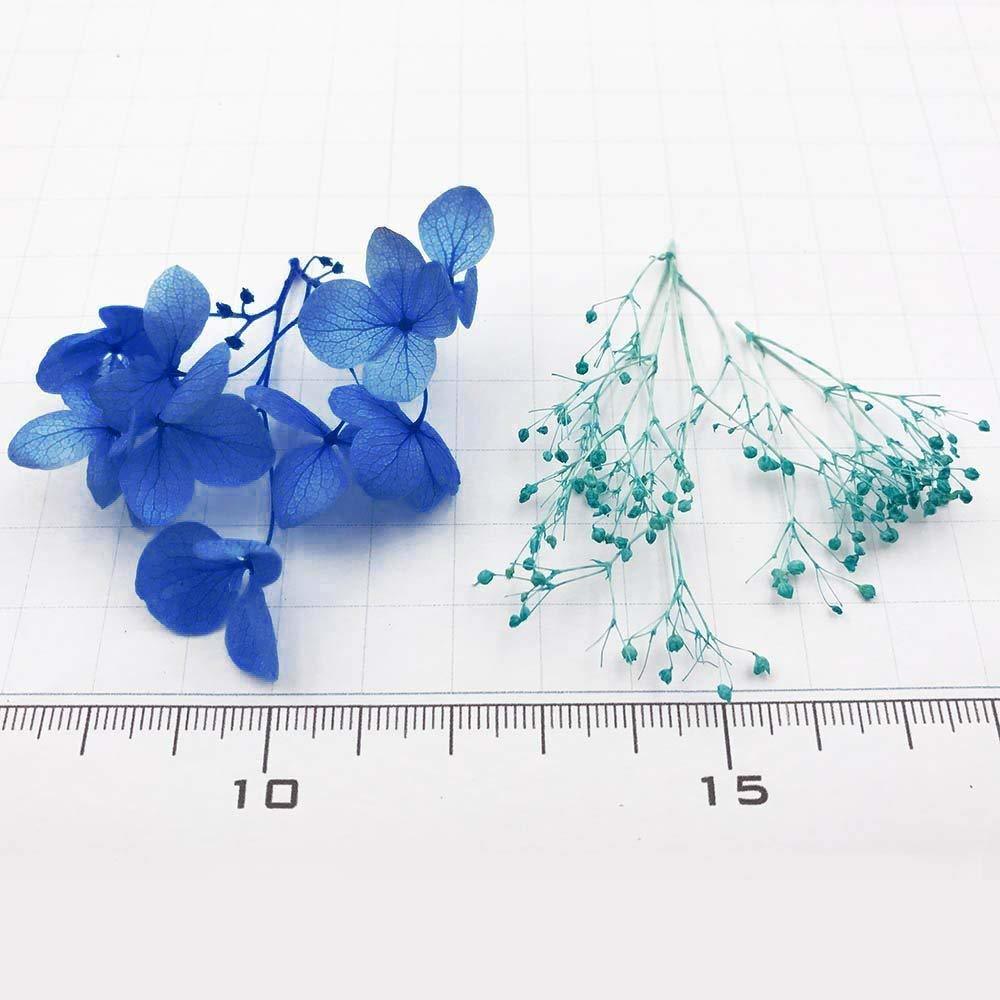 ��P5��!���㤤ʪ�ޥ饽��CP����� �������� �������� ��ʬ�� �ץꥶ���֥ɥե� �ɥ饤�ե� �ϡ��Хꥦ�� �ֺ� ���å� �� �ϡ��Хꥦ��ܡ���ڥ� �쥸�� ���� ���� �Ǻ� ���Ǻ� �쥸��ѡ��� ���������꡼ �ѡ��� �� �쥸�󥯥�ե� �ϥ�ɥᥤ�� ��