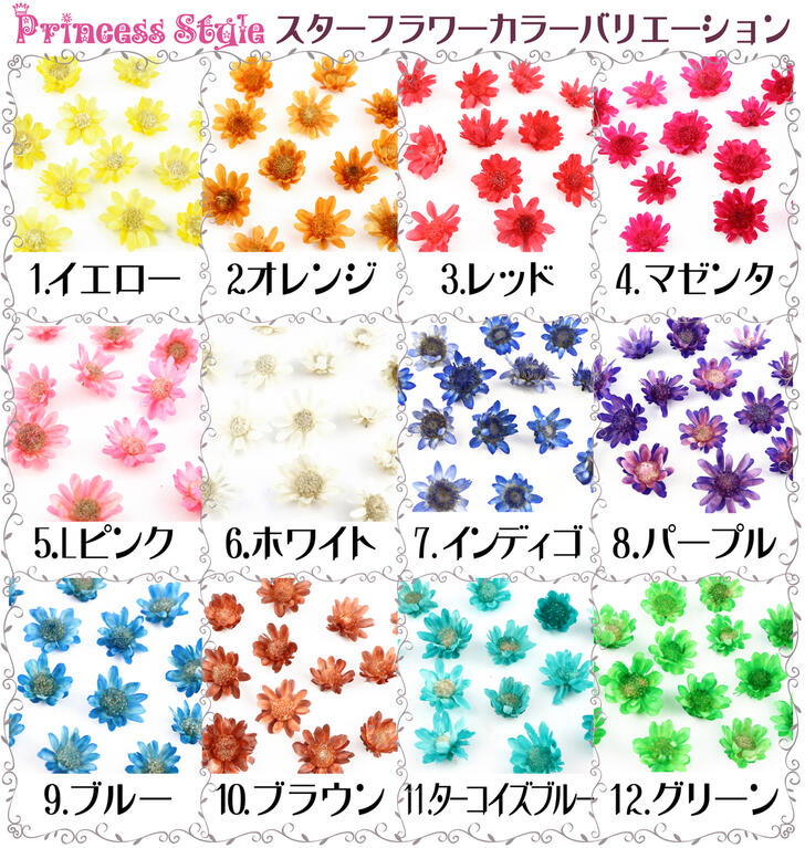 ハーバリウム ガラスドーム レジン 花材 アロマワックスバー 新品未使用正規品 12色 各5個セット 封入 パーツ ドライフラワー スターフラワー
