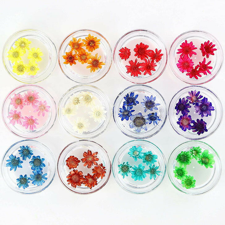 ハーバリウム ガラスドーム レジン 花材 アロマワックスバー 新品未使用正規品 12色 各5個セット 封入 パーツ ドライフラワー スターフラワー