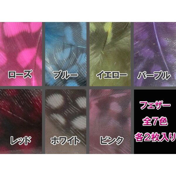 �ե����� �ͥ��� ��ʪ �ۥ��ۥ�Ļ�ե����� �ͥ��륢������ ��