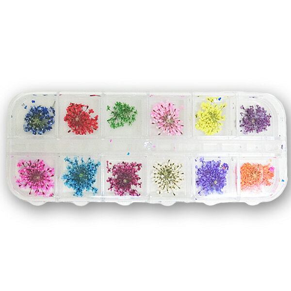 ネイル 花柄 フラワー 極薄 ドライフラワー ジェルネイル 押し花 12色セット セット