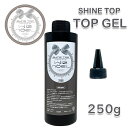 トップジェル ネイル ジェルネイル 【詰め替え用250g】Wiz noel SHINE TOP 15g ソークオフジェル ソフトジェル ジェル トップ 艶々 つやつや プロ用