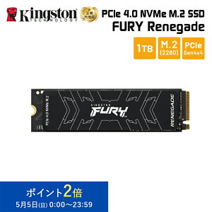 ڥ᡼󤻡ۥ󥰥ȥ FURY Renegade PCIe 4.0 x4 NVMe M.2 (2280) SSD 1TB (1000GB) ҡȥץå SFYRS/1000G kingston ͥ PS5б ¢SSD ¢   󥻥Բ