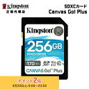 キングストン SDXCカード 256GB Canvas Go!Plus Class 10 U3 V30 SDG3/256GB Kingston SDカード 新生...