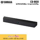 ヤマハ ビデオサウンドバー マイク・スピーカー・カメラ一体型 CS-800 YAMAHA ビデオバー オートフォーカス zoom 高性能 ビデオ会議 テレビ会議...