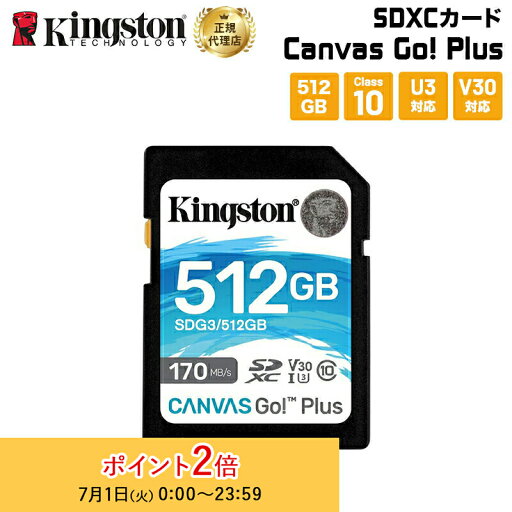(在庫限り)キングストン SDXCカード 512GB Canvas Go!Plus Class 10 U3 V30 SDG3/512GB Kingston SDカード 新生活 国内正規品 キャンセル不可 (在庫限り)キングストン SDXCカード 512GB Canvas Go!Plus Class 10 U3 V30 SDG3/512GB Kingston SDカード 新生活 国内正規品 キャンセル不可