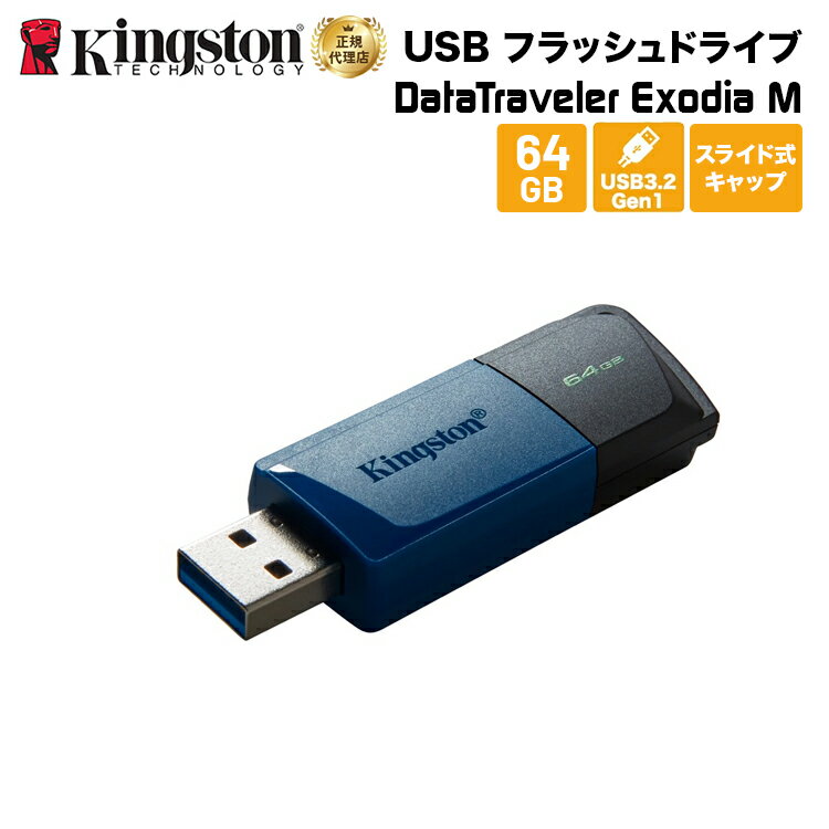 キングストン DataTraveler Exodia M USB フ