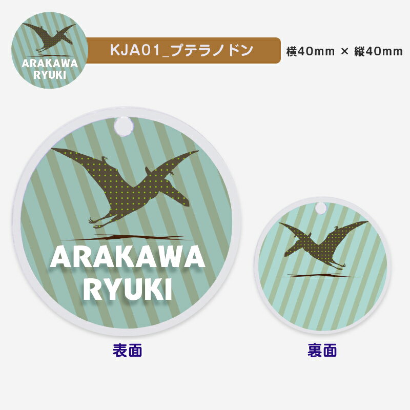 【名入れ】デザイン選べる 恐竜影絵柄 キーホルダー キッズ 子供 かわいい プレゼント 日本製 入園祝い 入学祝い プレゼント 保育園 幼稚園 新学期 名前 ギフト 出産祝い 卒園 記念 クリスマス 名前入り トリケラトプス スピノサウルス プテラノドン