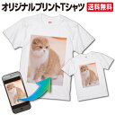 【最安値挑戦中】 手作りtシャツ オリジナルTシャツ ペット 写真 tシャツ オリジナル プリント 名入れ 1枚から 作成 写真入り プレゼント 卒業記念品 作成 半袖 綿100% ホワイト