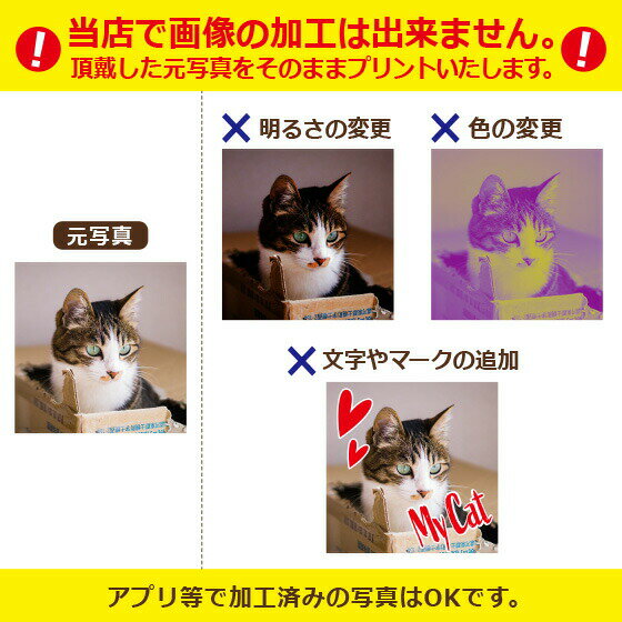 オリジナルTシャツ【ホワイト生地+カラー生地】写真プリントロゴ半袖Tシャツチームシャツ作成自作コンサートお祝い部活卒業プレゼント記念品おもしろ1枚からOK!綿100%5.6oz選べる6色