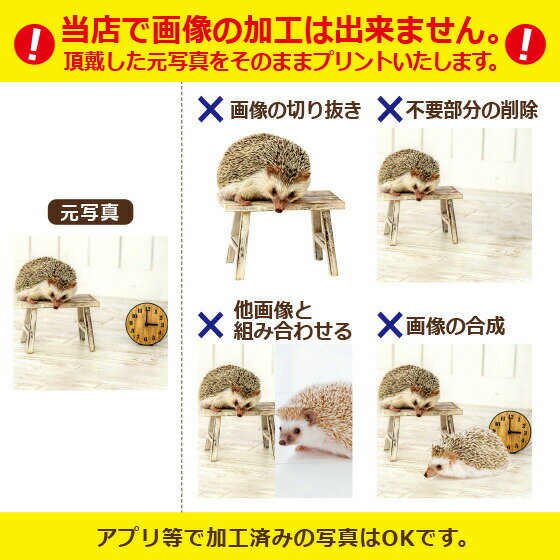 オリジナルTシャツ【ホワイト生地+カラー生地】写真プリントロゴ半袖Tシャツチームシャツ作成自作コンサートお祝い部活卒業プレゼント記念品おもしろ1枚からOK!綿100%5.6oz選べる6色