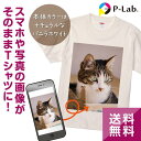 Tシャツ オリジナル 作成 写真 プリント 好きな画像 家族 お揃い 母の日 アプリ加工済OK 1枚から 本体色バニラホワイト 送料無料 綿100％