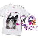 愛犬 オリジナル グッズ 写真 ペット Tシャツ プリント 写真入り プレゼント 1枚から 名入れ 作成 愛猫 家族 お揃い 母の日 綿100% ホワイト