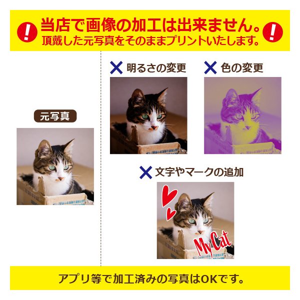 生地厚オリジナルTシャツ作成写真自作プレゼント好きな画像プリントアプリ加工済OK1枚からホワイト綿100%6.2oz