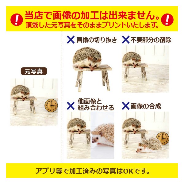 生地厚オリジナルTシャツ作成写真自作プレゼント好きな画像プリントアプリ加工済OK1枚からホワイト綿100%6.2oz