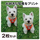 【好きな写真をプリント】メガネ拭き2枚組(大)全面プリント(片面)メガネクロス、レンズ拭き、貴金属拭き、画面拭き、名入れ、ギフト、ペットの写真、子供の写真、プレ...