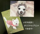 【好きな写真をプリント】メガネ拭き(大)全面プリント(片面のみ)メガネクロス、マイクロファイバークロス、レンズ拭き、貴金属拭き、画面拭き、名入れ、ギフト、プレゼ...