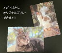 【好きな写真をプリント】メガネ拭き(大)片面プリント。メガネクロス、レンズ拭き、貴金属拭き、スマホ拭き、名入れ、ギフト、ペットの写真、ねこの写真、ねこのグッズ、...