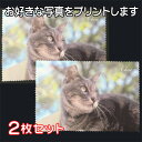 【好きな写真をプリント】メガネ拭き2枚組(大)片面プリント。メガネクロス、レンズ拭き、貴金属拭き、スマホ拭き、名入れ、ギフト、ペットの写真、ねこの写真、ねこのグッズ、ねこ、オリジナルグッズ、プレゼント、記念品、お祝い(4)