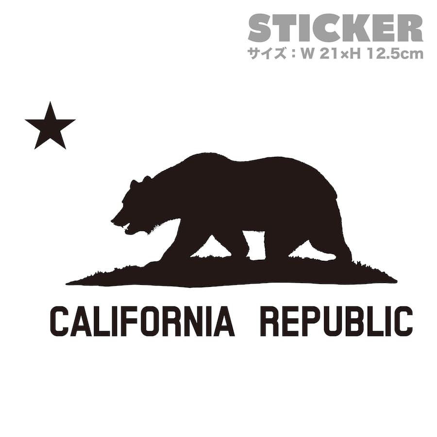 ڳŷѡSALE30%աCALIFORNIA REPUBLIC  L ƥå ץ󥿥å ڤʸ 륹ƥå  Х    ä  ֥ ե ե˥ surf sup nycڥ᡼̵